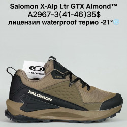 Мужские кроссовки Salomon X-Alp Ltr GTX Almond™ лицензия waterproof термо -21° A2967-3 BH