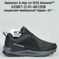 Мужские кроссовки Salomon X-Alp Ltr GTX Almond™ лицензия waterproof термо -21° A2967-2 BH