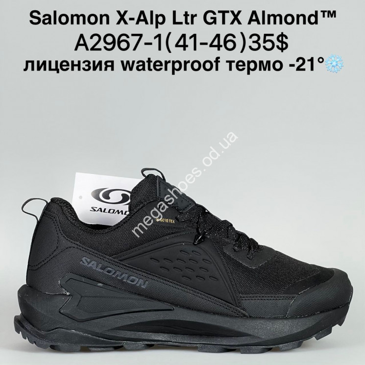 Мужские кроссовки Salomon X-Alp Ltr GTX Almond™ лицензия waterproof термо -21° A2967-1 BH купити оптом на 7 км в Одесі​