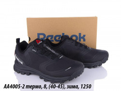 Мужские кроссовки Reebok Terras GTX термо, зима AA4005-2 QA