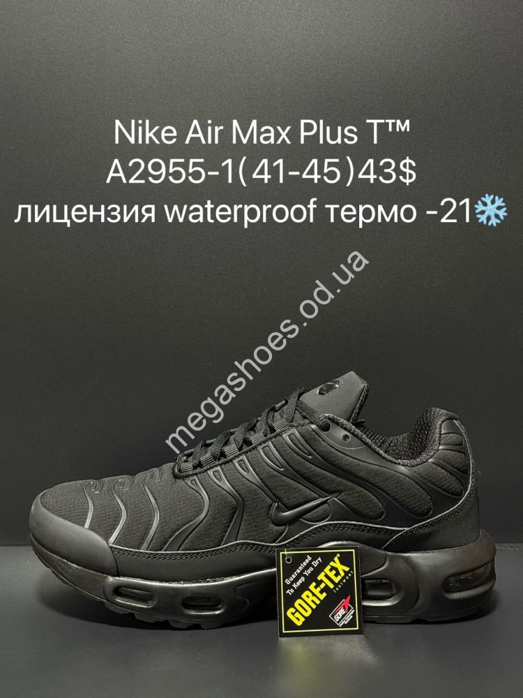 Nike Air Max Plus T waterproof 21 A2955 1 SU 7