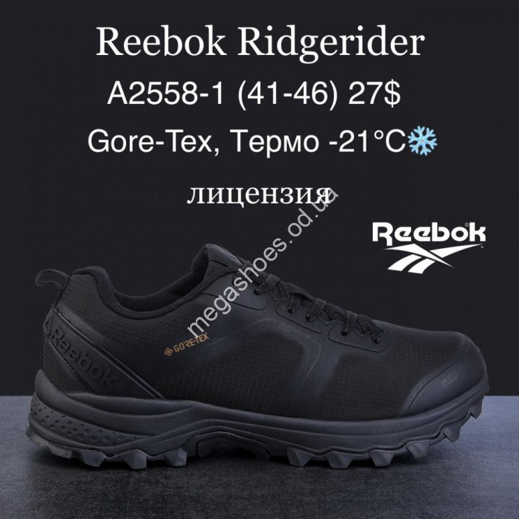 Мужские кроссовки Reebok Ridgerider Gore-Tex, термо -21°, лицензия A2558-1 MG купити оптом на 7 км в Одесі​