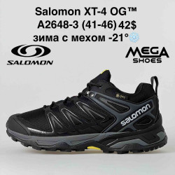 Мужские кроссовки Salomon XT-4 OG зима A2648-3 BH