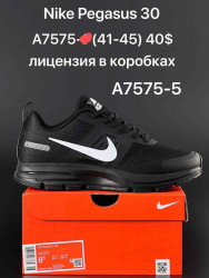 Мужские кроссовки Nike Pegasus 30 A7575-5 AN