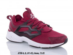Мужские кроссовки Reebok Fury Adapt UC 10 деми A708-6 QA