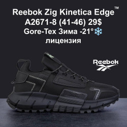 Мужские кроссовки Reebok Zig Kinetica Edge™ Gore-Tex лицензия зима A2671-8 MG