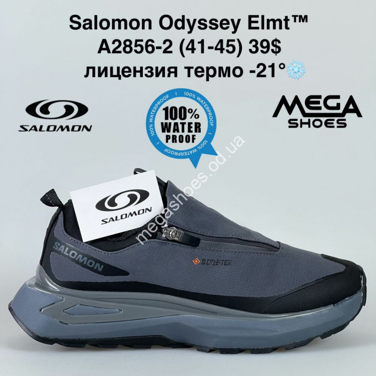 Мужские кроссовки Salomon Odyssey Elmt™ лицензия термо -21° A2856-2 BH купить оптом в Одессе