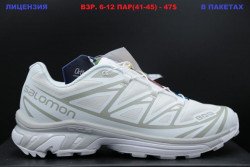 Мужские кроссовки Salomon XT-6 White LV
