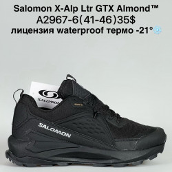 Мужские кроссовки Salomon X-Alp Ltr GTX Almond™ лицензия waterproof термо -21° A2967-6 BH